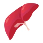 Endovascular / Neuro Endoscopy