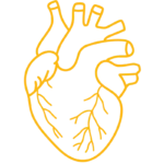 CARDIOLOGY & CARDIAC